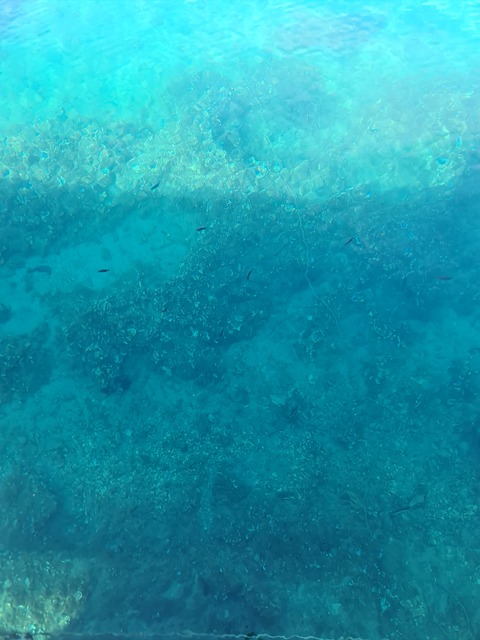 Playa, Piedras, Croacia, El Verano, Sol