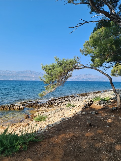 Playa, Piedras, Croacia, El Verano, Sol