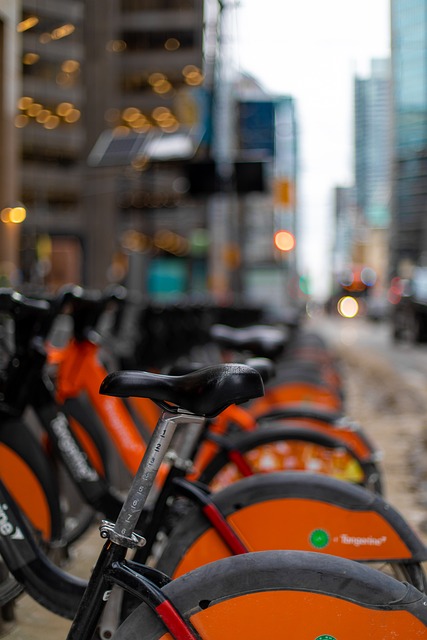 Free Street City photo and picture