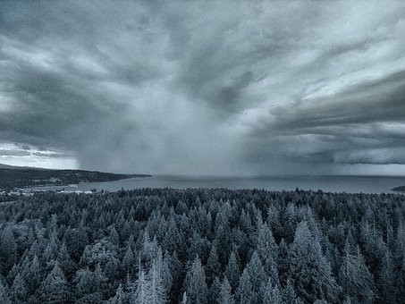 Free Storm Rain photo and picture