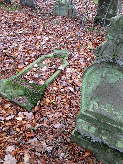 Free Jewish Graveyard photo and picture
