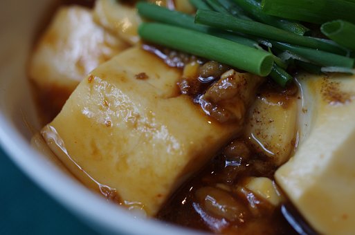 Free Healthy Tofu photo and picture