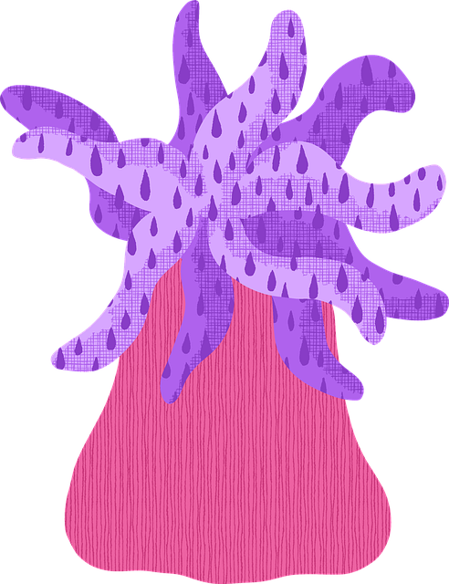 Download free HD stock image of Sea Creature Free sea creature coral illustration