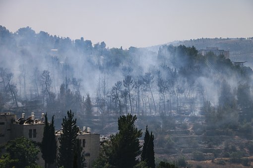 Free Forest Fire photo and picture