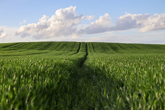 cybersecurity agriculture