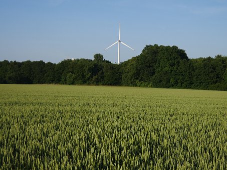 Windkraftanlage, Weizenfeld