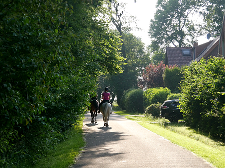 Reiten, Landstraße, Ländliches Leben