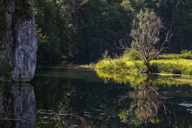 Free River Nature photo and picture