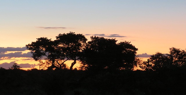 Free Sunset Dusk photo and picture