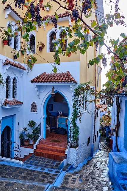 Chefchaouene, Marokko, Gasse, Wein, Blau