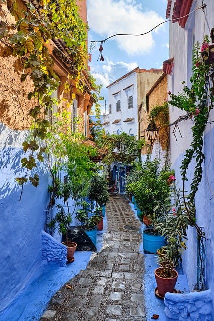 Chefchaouene, Marokko, Gasse, Blumen