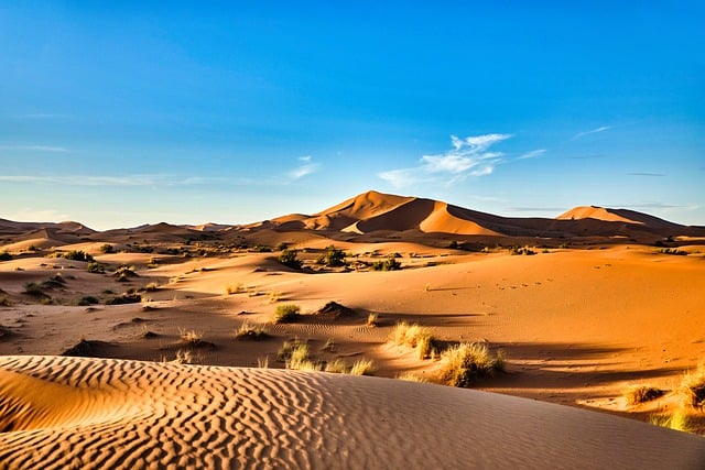 Wüste, Sahara, Marokko, Natur, Sand