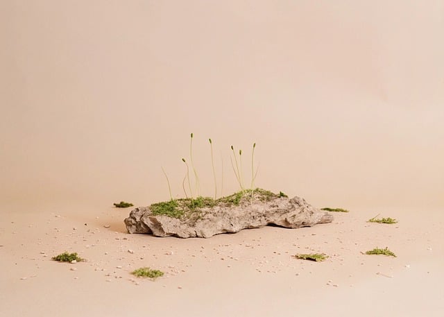 Sementes, Natureza, Planta, Solo