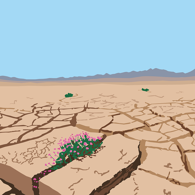 Free desert drought nature vector