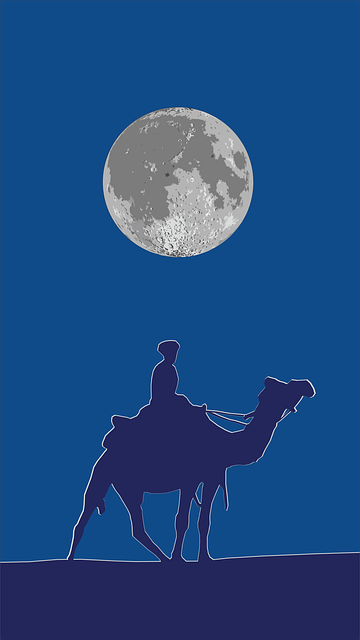 Free moon moonlight camel vector