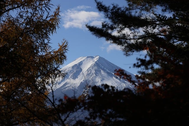 Majestic mount fuji, snow covered mount fuji, mount fuji with autumn foliage and tranquil — photo by LoiTran97