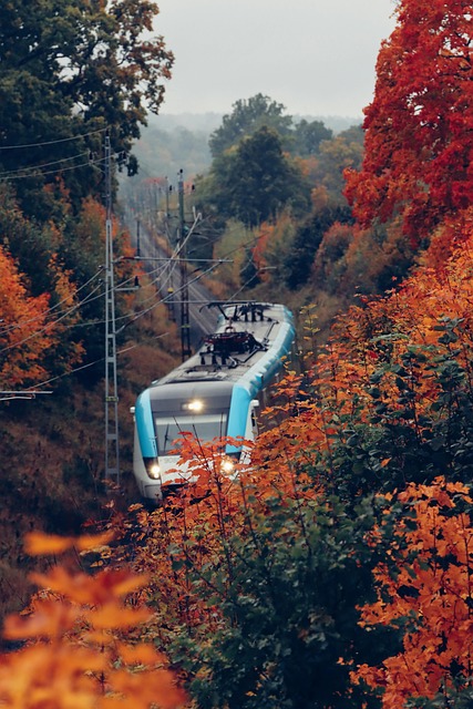 Free Autumn Autumn Leaf photo and picture