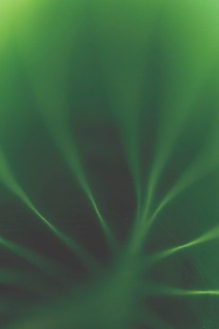 Free Nature Abstract photo and picture