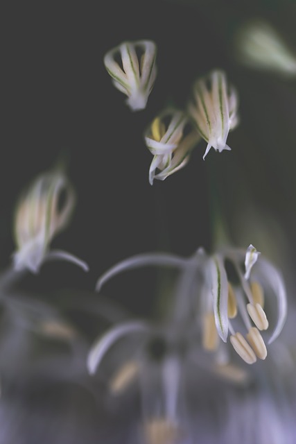 Free Nature Abstract photo and picture