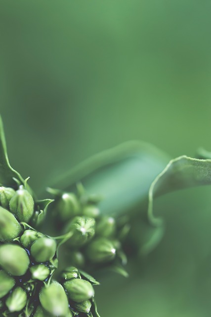 Free Nature Abstract photo and picture