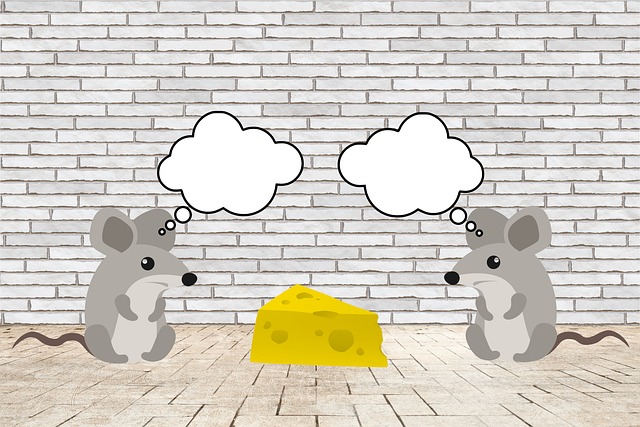 Free Mice Rodents photo and picture