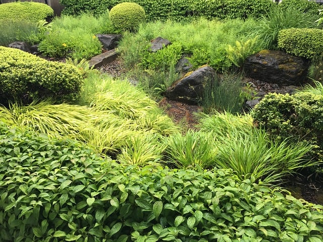 Free Green Nature photo and picture