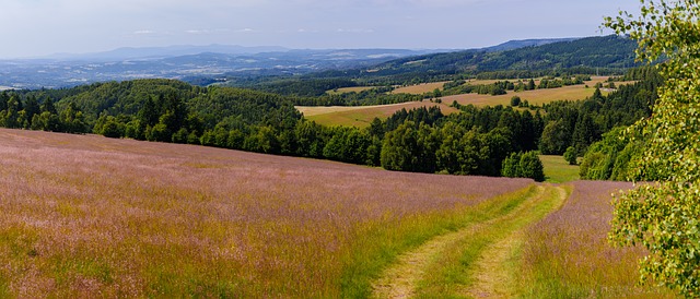 Free Panorama Landscape photo and picture