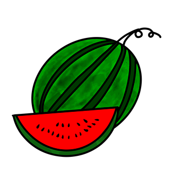 Free Watermelon Fruit illustration and picture
