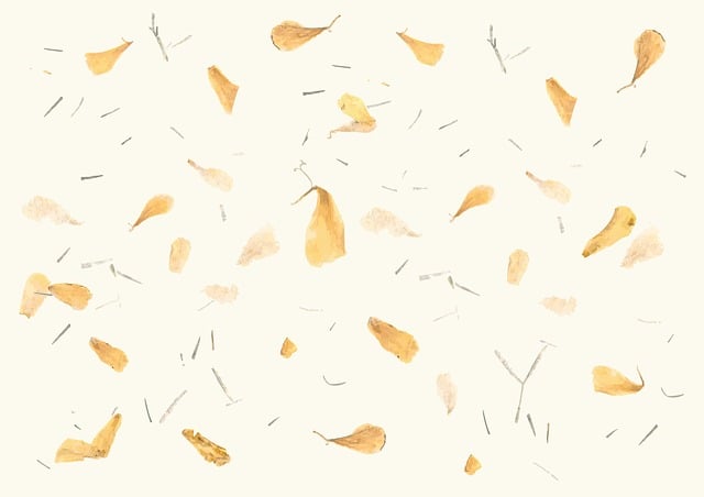 Free paper hand made dried flower vector
