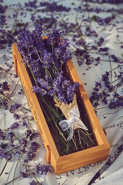lavender, dried lavender, fresh lavender, rustic decor, wooden box, floral still life, purple flowers, calming scent, provence style, lace ribbon, handmade bouquet, vintage charm, natural beauty, herbal bouquet, cozy aesthetic, country style, aromatherapy, floral composition, botanical scene, slow living, soft light, summer fragrance, romantic setting, dried flowers, peaceful mood