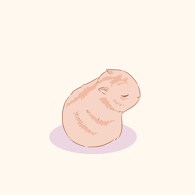 Free hamster nature rodent vector