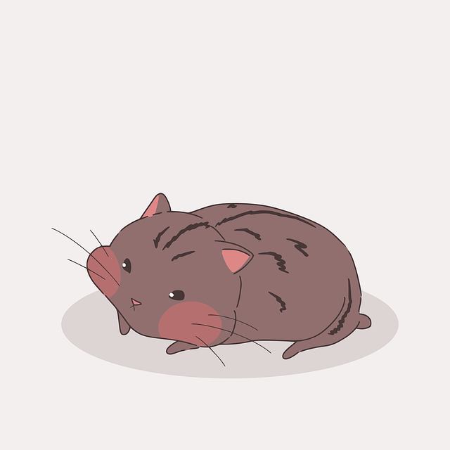 Free nature pet hamster vector