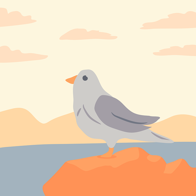 Gaviota, Pájaro, Lago, Animal