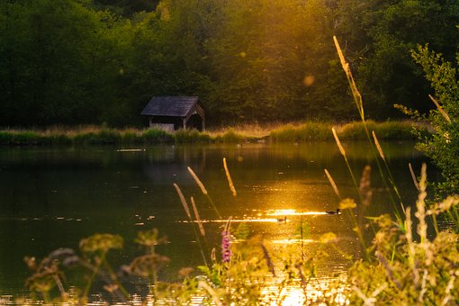 Free Sunset Pond photo and picture