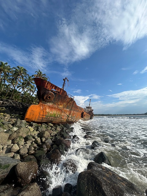Free Beach Ship photo and picture