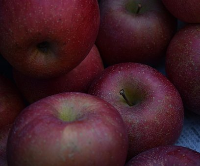 Free Fruit Fresh photo and picture