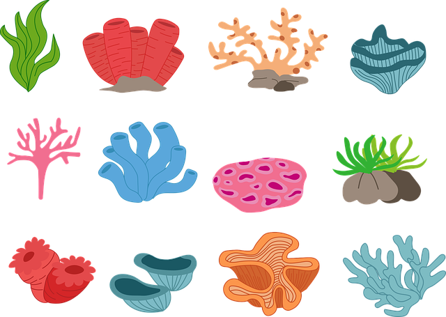 Free coral reef sea illustration