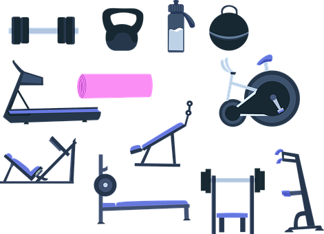 Free Fitness Gym vector and picture