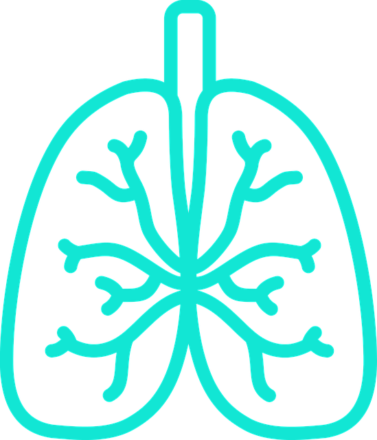 Free lung smoking infection vector