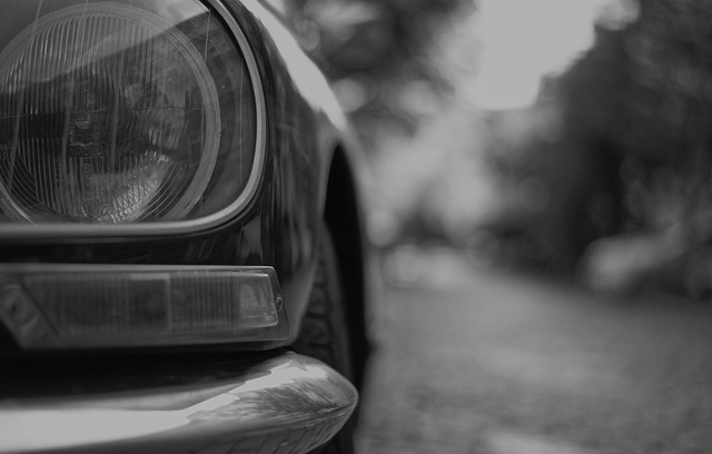 Free Citroen Citroen-Ds photo and picture