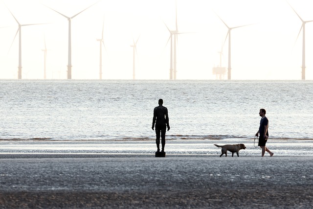 Free Crosby Beach Merseyside photo and picture