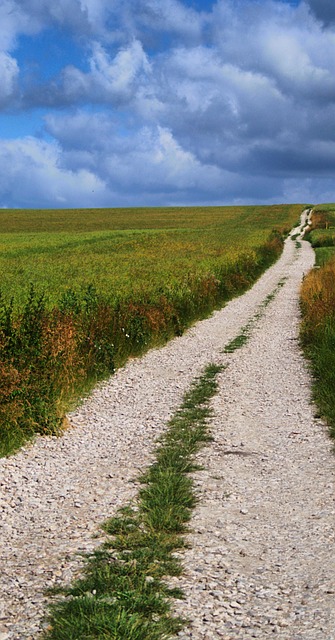 Free Way Landscape photo and picture