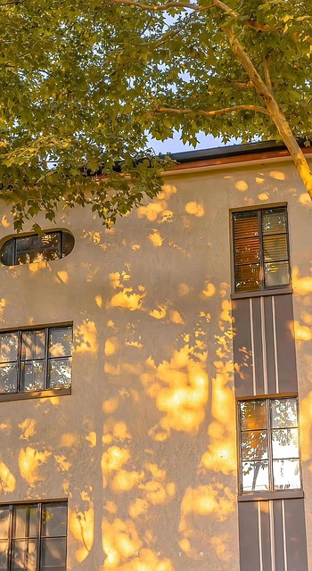 Sunlight, Trees, Houses
