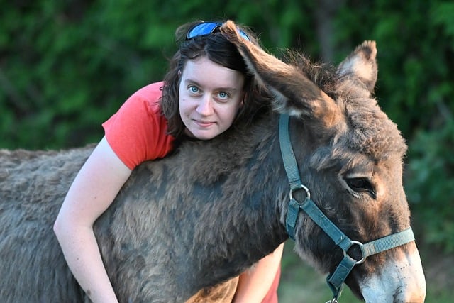 woman, donkey, affection, tenderness, animal, hug, nature, outside, friendship, connection, girl, caress, link, summer, soft, love, green, companion, portrait, membership