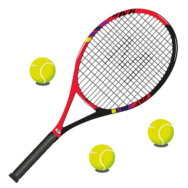 Free Tennis Sport vector and picture