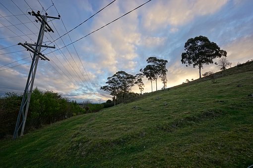 Free Trees Hill photo and picture