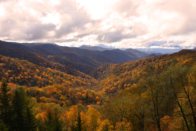 Free Fall Autum photo and picture