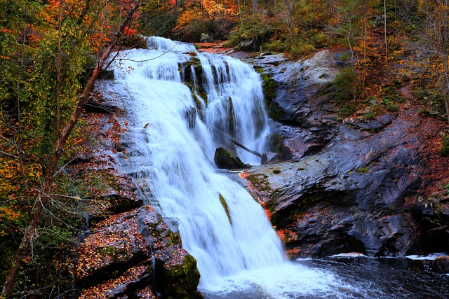Free Autum Landscape photo and picture