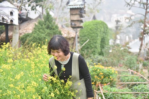 Free Three Island Flower Reform photo and picture