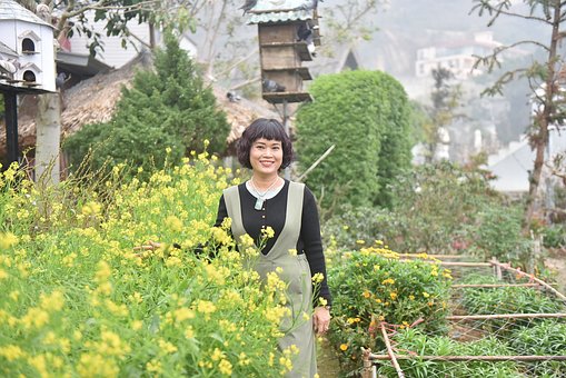 Free Three Island Flower Reform photo and picture